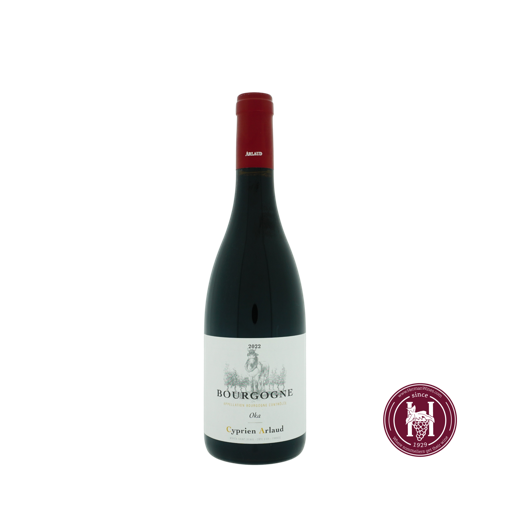 Bourgogne Pinot Noir Oka - Cyprien Arlaud - 2022 - R 0.75L