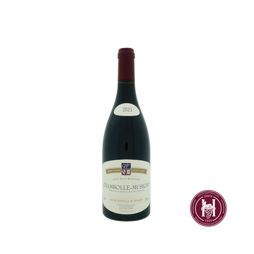 Chambolle Musigny - Coquard Loison Fleurot - 2023 - R 0.75L
