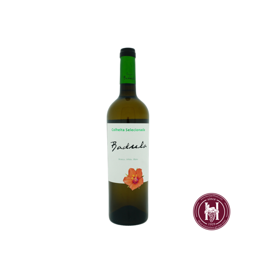 Badula Colheita selecionada white - Quinta da Badula - Tejo, Portugal - 2023 - W 0.75L