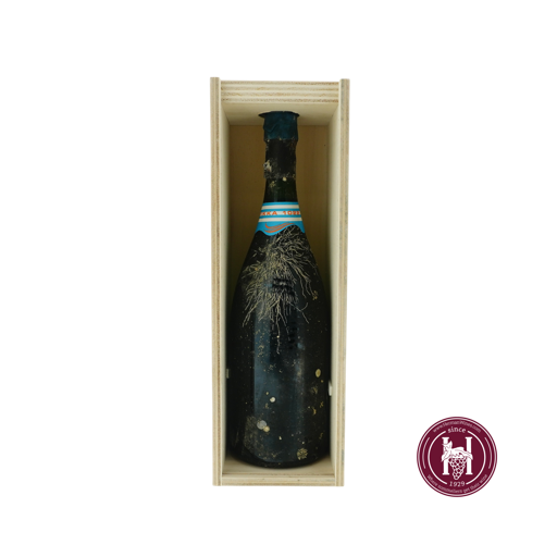 Vikka Blanc de Blancs 1022 Grand Cru - 2010 - Hostomme - W - 1.5L