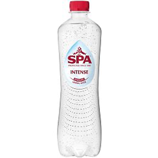 SPA BRUIS PET 24x50cl