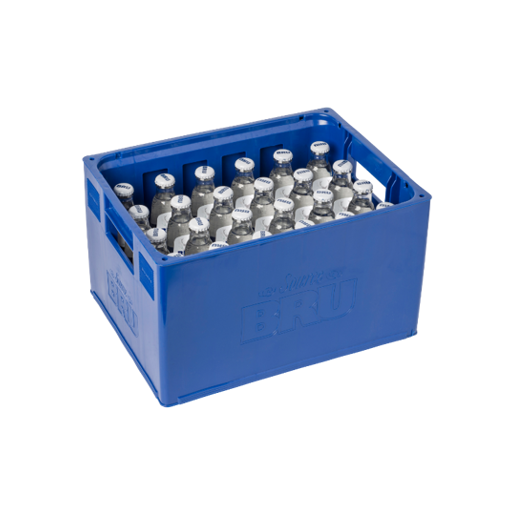 BRU BRUIS 24x25cl WIT