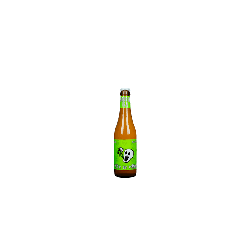 TETE DE MORT DIPA 24x33cl