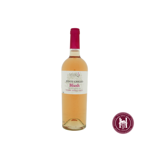 Pinot Grigio Sottoriva Blush - Bixio - Veneto Italië - 2023 - RS 0.75L
