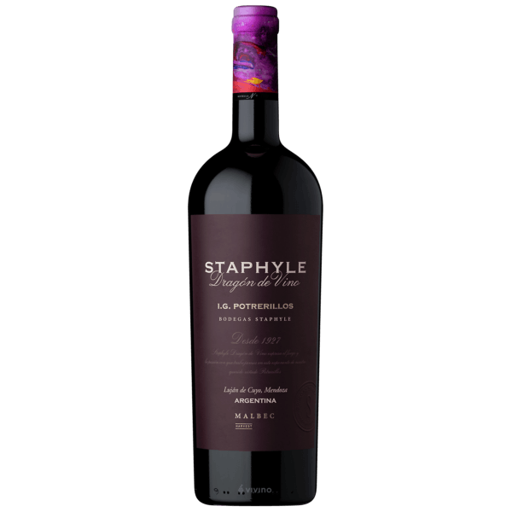 STAPHYLE DRAGON (028)