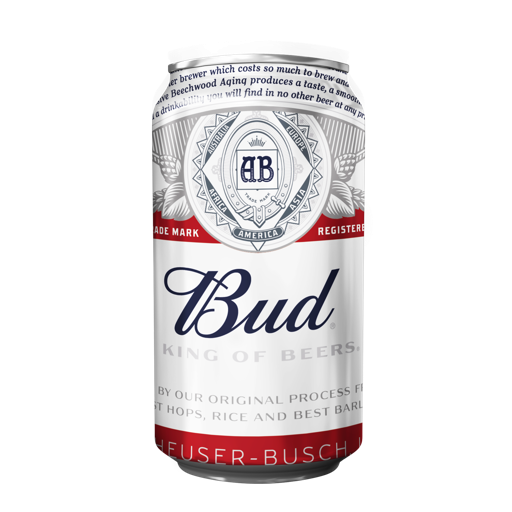 BUD BLIK - 24X 33 CL