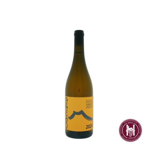 Susucaru Bianco - Frank Cornelissen - 2024 - W 0.75L