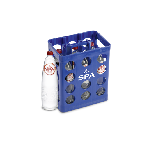 SPA BRUIS 6x100cl GROOT