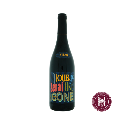 Un jour je serai une icone VDF - Jeff Carrel - 2019 - R - 0.75